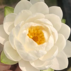 Meet your Posher, Jess